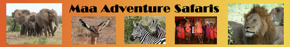 Maa Adventure Safaris